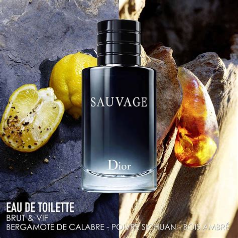 dior sauvage homme|dior sauvage homme sephora.